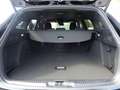 Ford Focus Turnier 1.0 EcoB.mHEV ST-Line LED,Navi,ACC Schwarz - thumbnail 8