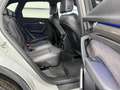 Audi Q5 2,0 TDI quattro 3x S-LINE,ACC,AHK,VIRTUAL,20 ZO... Grau - thumbnail 44