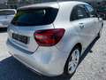 Mercedes-Benz A 250 BlueEfficiency Fzg. aus Inhaber-Familie Zilver - thumbnail 8