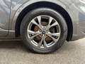 Ford Kuga ST-LINE X 2.0Ecoblue Grau - thumbnail 19