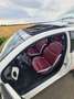 Fiat 500 500 0.9 8V TwinAir Turbo Start Weiß - thumbnail 12
