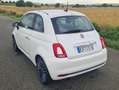 Fiat 500 500 0.9 8V TwinAir Turbo Start Weiß - thumbnail 5
