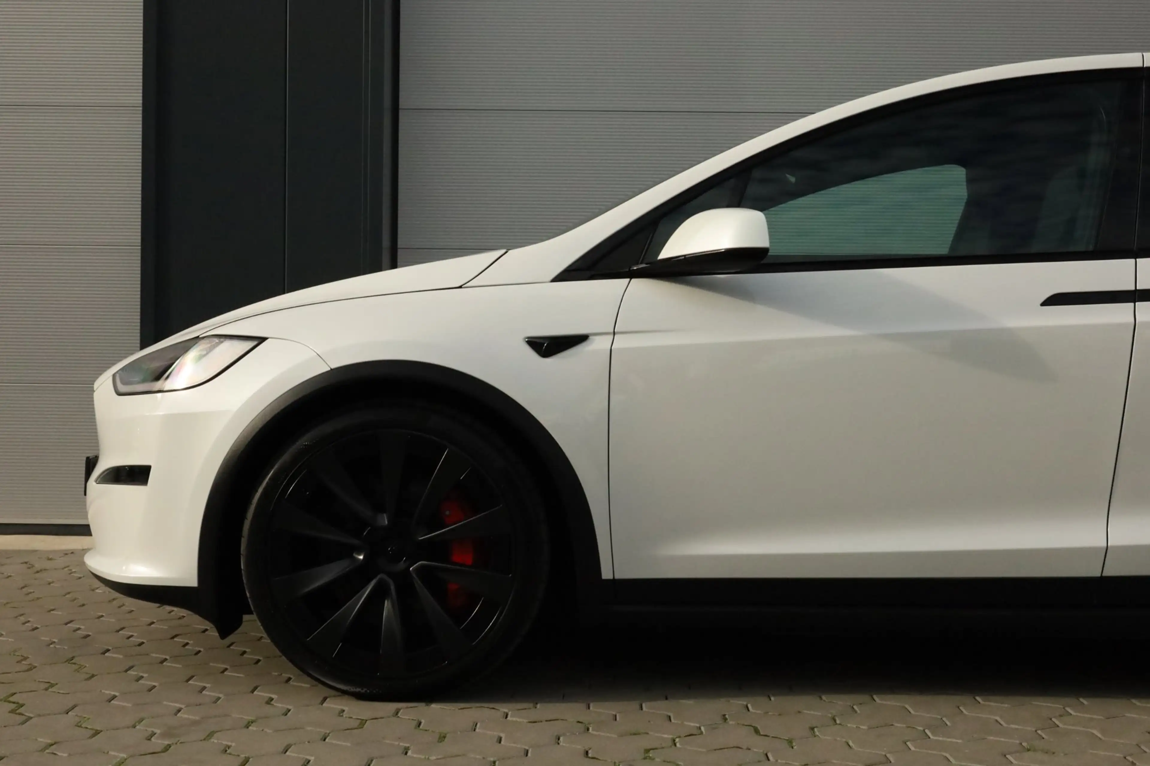 Tesla Model X Plaid AWD 6p. 100kWh — photo 9
