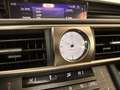Lexus IS 300 300h Luxury Line | Leder beige | Camera | DAB+ | L Bleu - thumbnail 31
