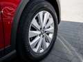 SEAT Arona 1.0 TSI Xcellence Beats AHK DSG NAVI SH Rot - thumbnail 5