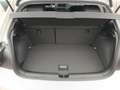 Volkswagen Polo 4Me Grau - thumbnail 19