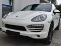 Porsche Cayenne 3,0 Diesel Aut. Panorma Weiß - thumbnail 1