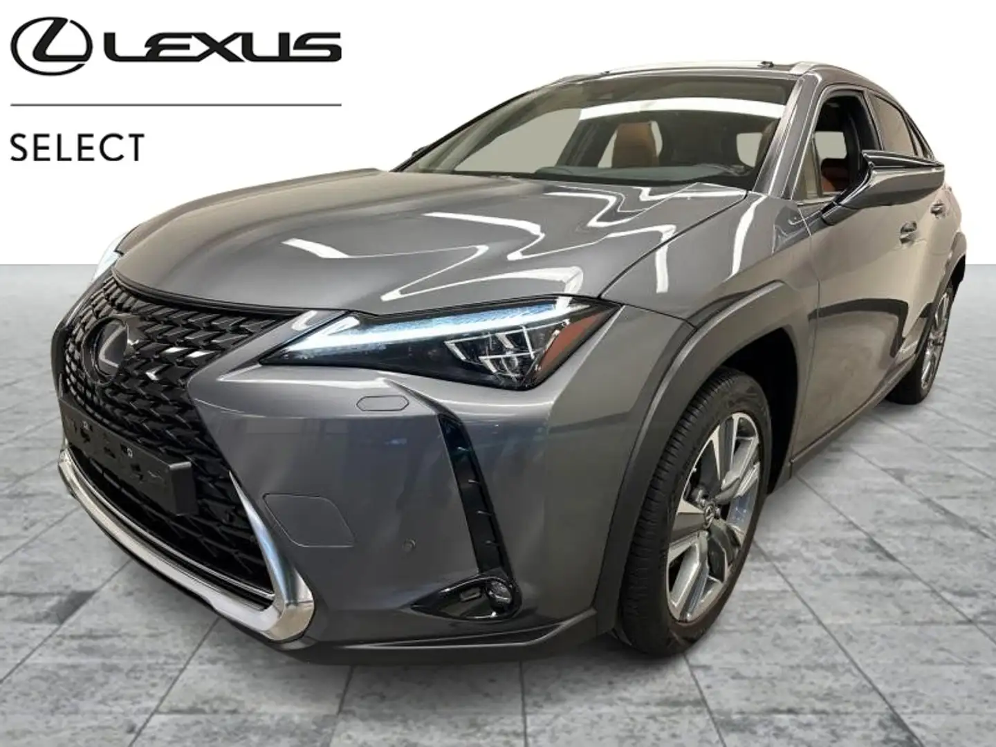 Lexus UX 300e Privilege EV Gris - 1
