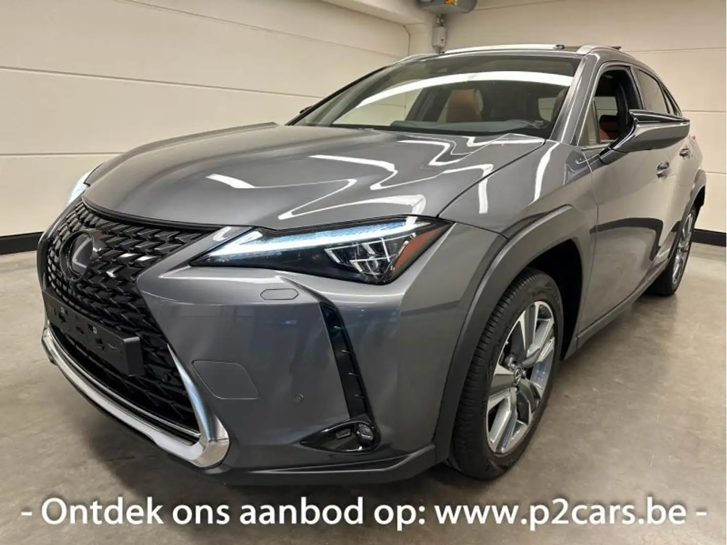 Lexus UX 300e Privilege EV Gris - 2
