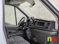 Ford Transit 350 125kW L5 Trend RWD Blanco - thumbnail 8