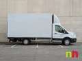 Ford Transit 350 125kW L5 Trend RWD Blanco - thumbnail 3
