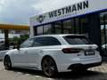 Audi RS4 RS 4 Avant 2.9 TFSI QUATTRO/NAVI/LED/MATRIX Bianco - thumbnail 4