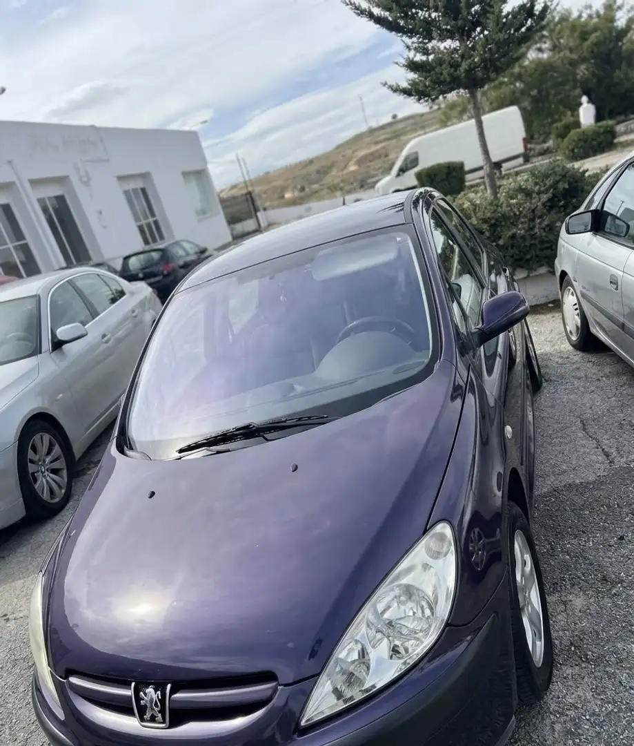Peugeot 307 2.0HDI XT 110 - 1