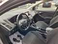 Ford Focus Focus 5p 1.5 tdci Titanium s Argento - thumbnail 6