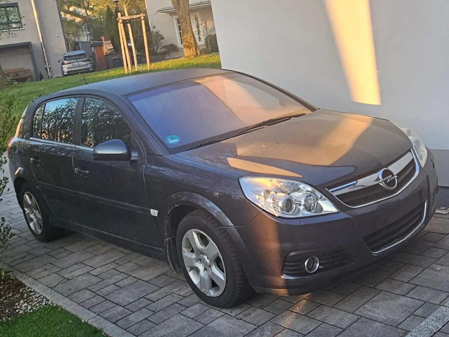 Opel Signum Signum 1.9 CDTI Blau - 1