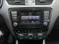Skoda Octavia Wagon Scout 2.0 TDI 4x4 150cv Bianco - thumbnail 14