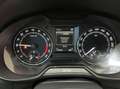 Skoda Octavia Wagon Scout 2.0 TDI 4x4 150cv White - thumbnail 16