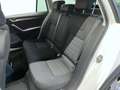 Skoda Octavia Wagon Scout 2.0 TDI 4x4 150cv Bianco - thumbnail 13