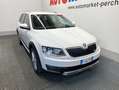 Skoda Octavia Wagon Scout 2.0 TDI 4x4 150cv Bianco - thumbnail 2