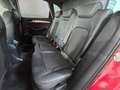Audi Q5 2.0TDI quattro DPF Rojo - thumbnail 9