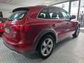 Audi Q5 2.0TDI quattro DPF Rojo - thumbnail 6