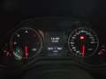Audi Q5 2.0TDI quattro DPF Rojo - thumbnail 34