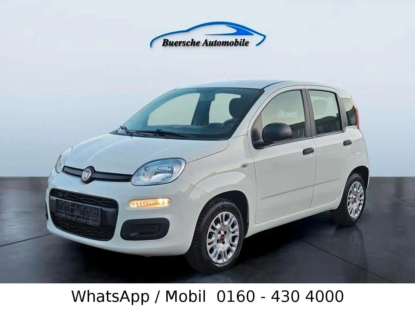 Fiat Panda Klima nur 64 Tkm Blanc - 1