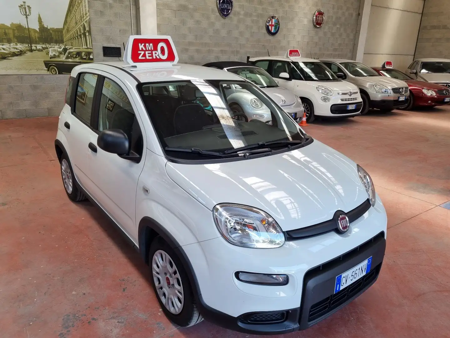 Fiat New Panda s&s Hibrid - 1