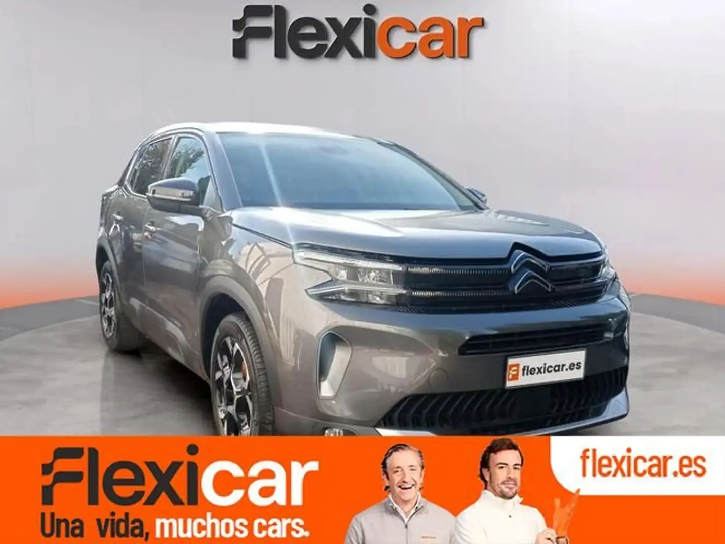 Citroen C5 Aircross BlueHDi S&S Max EAT8 130 Gris - 1