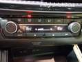 SEAT Ibiza 1.0 TSI 85kW Special Edition Xcellence Blanco - thumbnail 15