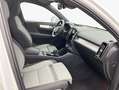 Volvo XC40 XC40 B3 B DKG Core Weiß - thumbnail 12