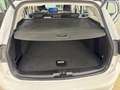 Ford Focus 1.0 Ecoboost Titanium Hybrid LED, Navigation Blanc - thumbnail 9