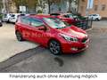 Kia Ceed / cee'd Spirit Automatik & Navi & Kamera Rouge - thumbnail 8