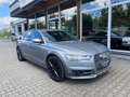 Audi A6 Allroad quattro 3.0 TDI Luft Matrix AHK R-Cam Grau - thumbnail 1