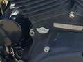 Harley-Davidson Sportster 883 XL  883 R Rosso - thumbnail 8