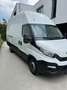 Iveco Daily 35 S 17HA8 SV L teilverglast Wit - thumbnail 5