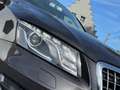 Audi Q5 2.0 TDI quattro Euro5 Leder Xenon Navi Cruise Pdc Gris - thumbnail 8