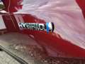Toyota RAV 4 RAV4 Hybrid 2.5 4x2 Hybrid Executive Rot - thumbnail 20