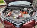 Toyota RAV 4 RAV4 Hybrid 2.5 4x2 Hybrid Executive Rot - thumbnail 15