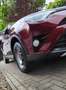 Toyota RAV 4 RAV4 Hybrid 2.5 4x2 Hybrid Executive Rot - thumbnail 3