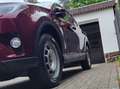 Toyota RAV 4 RAV4 Hybrid 2.5 4x2 Hybrid Executive Rot - thumbnail 2