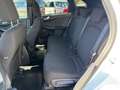 Ford Kuga 1,5 EcoBoost ST-Line Aut. Weiß - thumbnail 11