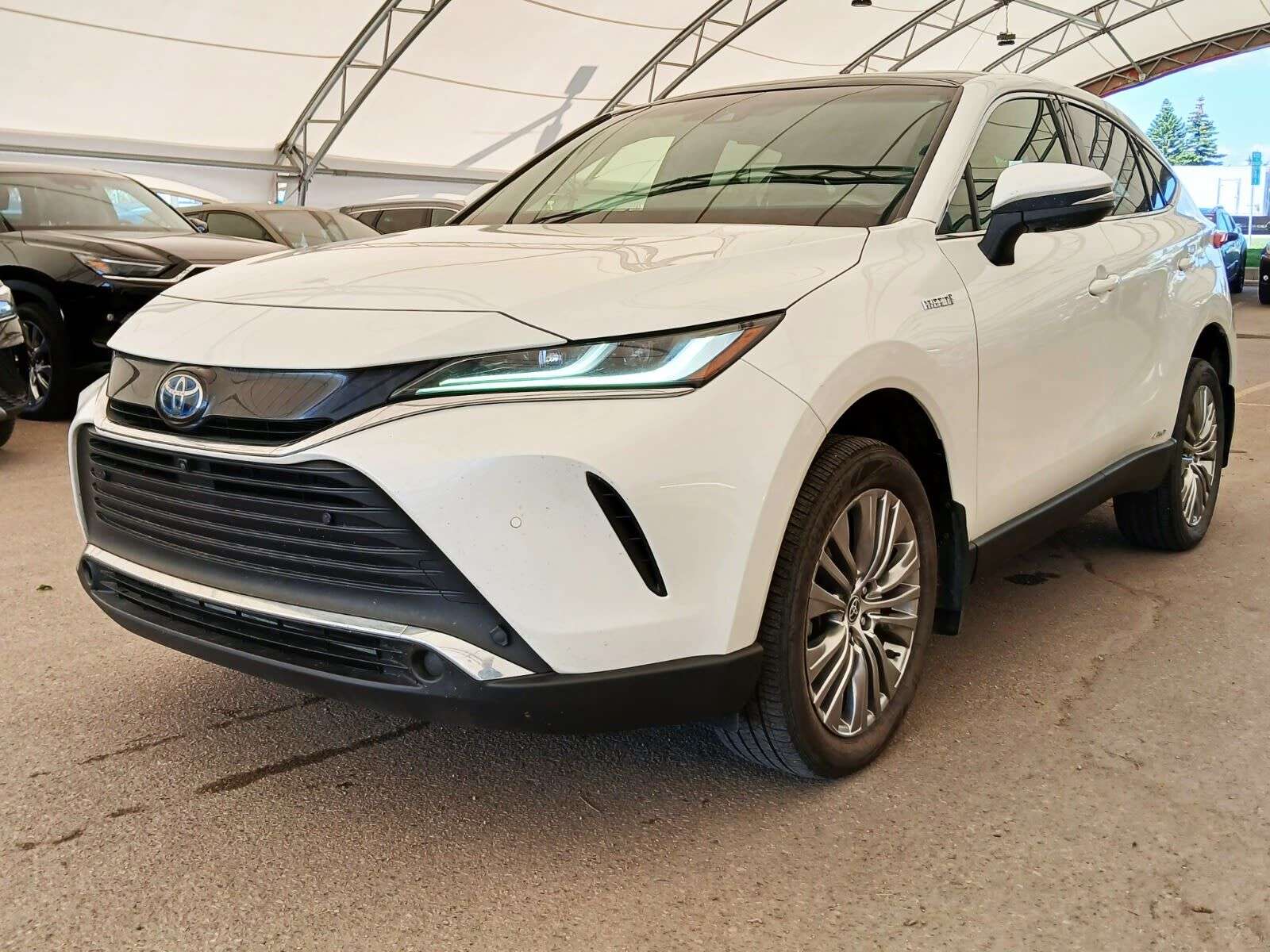 2021 Toyota Venza Limited - Driver's Seat Memory | Heated Steering W