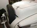 Lincoln Continental V12 convertible Blanco - thumbnail 9