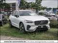 Volvo XC60 T8 Ultra Dark Recharge Plug-In Hybrid AWD Weiß - thumbnail 1