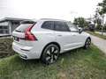 Volvo XC60 T8 Ultra Dark Recharge Plug-In Hybrid AWD Weiß - thumbnail 4