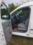 Volkswagen Caddy Caddy Furgón 1.9SDi Blanco - thumbnail 2
