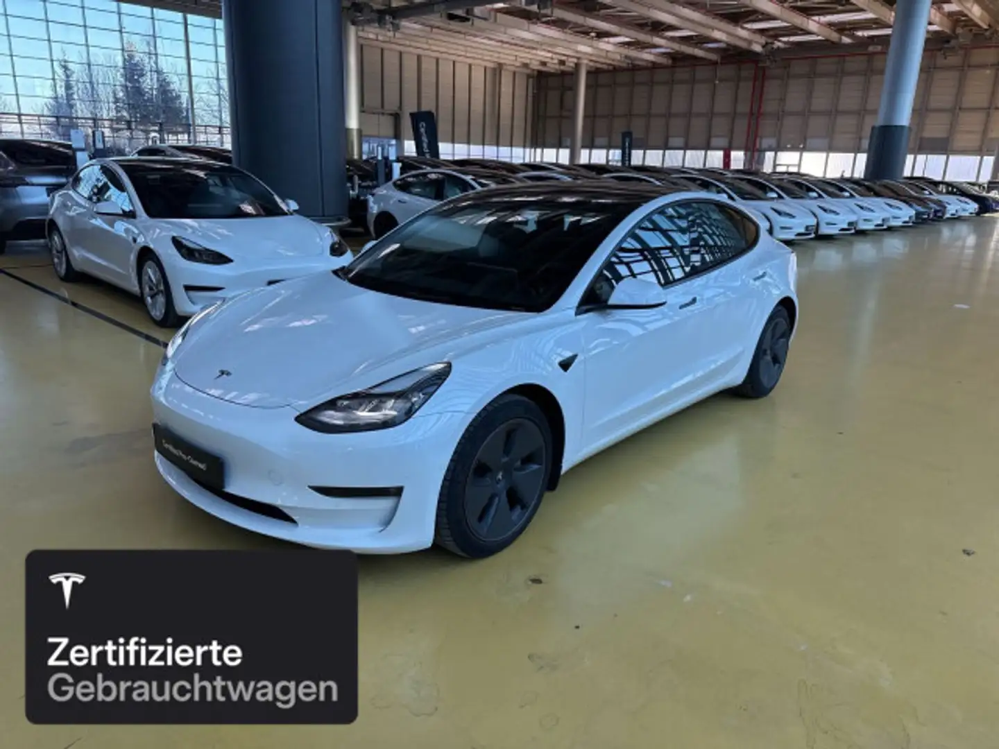 Tesla Model 3 Long Range AWD Weiß - 1