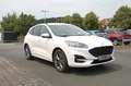 Ford Kuga ST-Line X+SHZ+LHZ+LED+LMF+NAVI+AHK+ Weiß - thumbnail 2