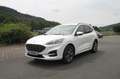 Ford Kuga ST-Line X+SHZ+LHZ+LED+LMF+NAVI+AHK+ Weiß - thumbnail 3